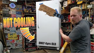 Freezer Not Cooling HOW THEY WORK and REPAIR [upl. by Showker499]