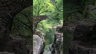 This iconic bridge view in Black Linn Falls  Dunkeld Pertshire Scotland travel trending foryou [upl. by Adnaval]