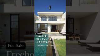 Rice Field View Villa for Sale in Buleleng freeholdvillabali balirealestate shorts [upl. by Juliette]