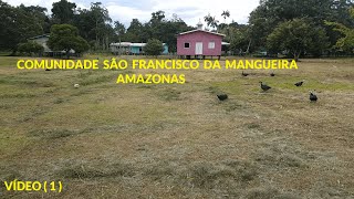 COMUNIDADE SÃO FRANCISCO DA MANGUEIRA  AMAZONAS  VÍDEO  1 [upl. by Nnaeoj]