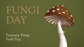 Fungi Day Fantastic Fungi Field Trip [upl. by Warford]