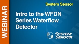 WF  WFDN  Introduction [upl. by Notserp]