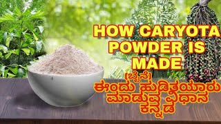 How Caryota powder is made ಈಂದು ‌‌‌‌ಹುಡಿಬೈನೆ ಹುಡಿತಯಾರು ಮಾಡುವ ವಿಧಾನ ಕನ್ನಡ [upl. by Eltsyrhc]