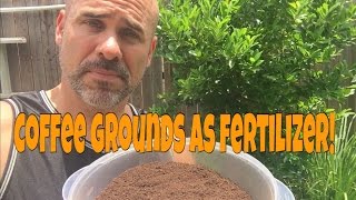 Why Use Coffee Grounds As Fertilizer [upl. by Aydidey]