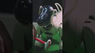 Thermonator The Worlds First Flamethrower Robot Dog [upl. by Nirel]