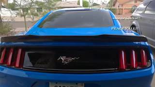 Mustang EcoBoost Carbon Fiber Spoiler Installremoval [upl. by Othello210]