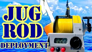 Swordfish 101 How To Deploy amp Fish The Buoy Rod Jug Rod [upl. by Wildon]