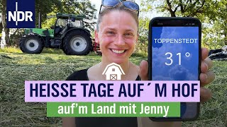 Alle ackern bei der Hitze  Folge 17  NDR aufm Land [upl. by Liatnahs635]