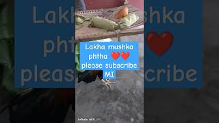 Lakha mushka phtha showk kreen please subscribe MI ❤️foryou 1millonveiws [upl. by Elamrej]