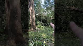 Damage to The Quattrone Home caused by Hurricane Helene 9272024 hurricanehelene [upl. by Pena]