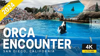 Orca Encounter 4K SeaWorld 60th Anniversary San Diego California  Included w SeaWorld Annual Pass [upl. by Shere]