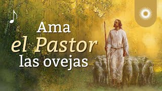 Himnos en español  Ama el Pastor las ovejas NUEVO ARREGLO [upl. by Curley167]