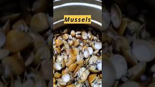 Mussels shorts seafood [upl. by Dnomso]