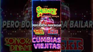 CUMBIAS INOLVIDABLES PARA BAILAR 🪗CUMBIAS DE ANTAÑO🪗ÁNGELES AZULES SONORA DINAMITA YAGUARU [upl. by Pachton]