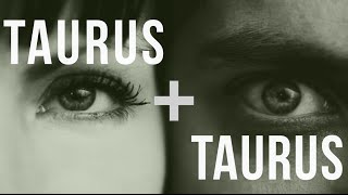 Taurus amp Taurus Love Compatibility [upl. by Paulette]