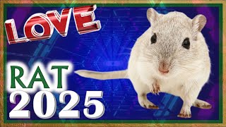 Rat Horoscope 2025  Love  Born 2020 2008 1996 1984 1972 1960 1948 1936 [upl. by Ayotnom442]