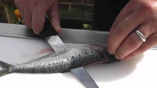 Passionate About Fish  How to prepare Sardines [upl. by Niltiak560]