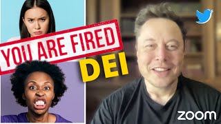 Elon Musk fires DEI employees in twitter meeting DUB [upl. by Yadrahc]