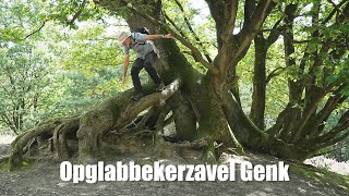 Opglabbekerzavel Genk [upl. by Ileek673]