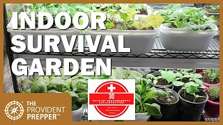 How to Grow an Indoor Survival Garden [upl. by Nalor]