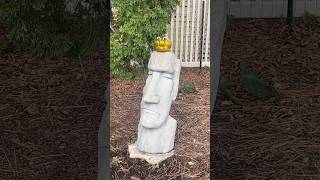 STONEMAN 1656moai fypage funny moaistatues michaelthemicrowave memes stoneman [upl. by Namara]