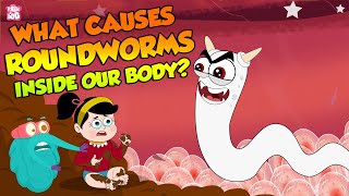 A Roundworm Parasite  What Causes Roundworms Inside our Body  The Dr Binocs Show [upl. by Hirsh]