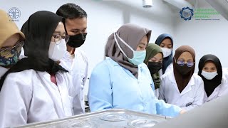 TIPS MEMBUAT SEDIAAN KRIM  PRAKTIKUM FARMASI UMBANDUNG [upl. by Gladine947]