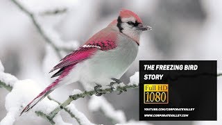 The Freezing Bird Story  Motivational Story for Self Development [upl. by Egidius377]