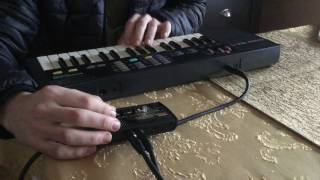 Casio SK1 vs Korg Monotron Delay [upl. by Rebm]