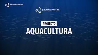 Produção sustentável de aquacultura  Jerónimo Martins [upl. by Nilpik]