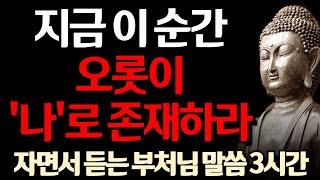 오롯이 나로 지금 이 순간을 살아라 l 불행의 원인은 생각이 너무 많아서이다 l 부처님 말씀 l 삶의 지혜 I 인생 조언 I 격언 I 오디오북 I 철학 l 불교 l 석가모니 [upl. by Kandace]