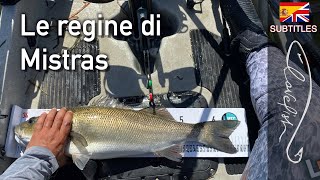 Le spigole della Sardegna dal kayak Mistras la laguna dei sogni [upl. by Letniuq423]