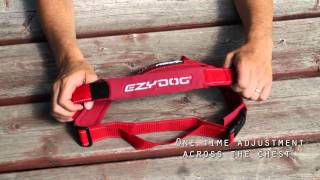 EzyDog QuickFit Dog Harness  Simple Support [upl. by Ikcir]