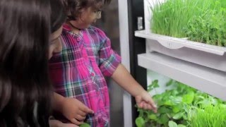 Urban Cultivator Residential [upl. by Wedurn]