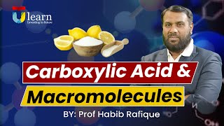 Carboxylic Acids Fatty Acids Esterification Amides Proteins amp Enzymes by Prof Habib Rafique [upl. by Yenmor]