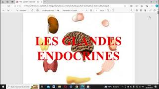 les épithulims glandulairesles glandes endocrines cour2 partie2 1er médecine [upl. by Akeemaj]