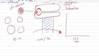 Facilitated Diffusion الانتشار الميسر [upl. by Nonnad]