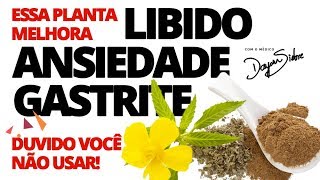 ESSA PLANTA MELHORA LIBIDO ANSIEDADE E GASTRITE DUVIDO VOCÊ NÃO USAR  Dr Dayan Siebra [upl. by Hsac]