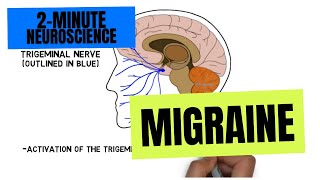 2Minute Neuroscience Migraine [upl. by Esinereb]