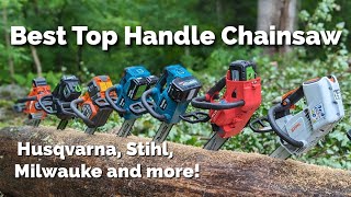 Best Cordless Top Handle Chainsaw [upl. by Bail]