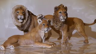 The Lions Family  Toy Plastic Animals [upl. by Bowyer]