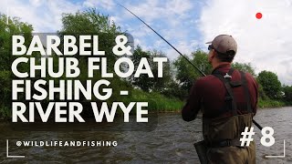 EPIC Float Fishing for Barbel amp Chub on the River Wye [upl. by Diehl]