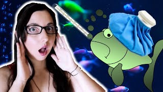 Common Fish Diseases And Treatments 🐠 How To Treat Sick Fish [upl. by Mcculloch]