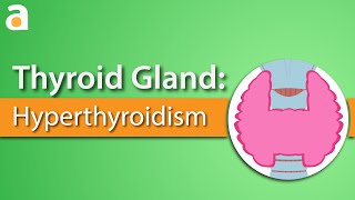 Thyroid Gland Hyperthyroidism [upl. by Retha]