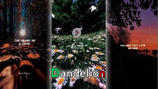 Dandelions  Aesthetic lyrics edit  Audio Slowed  dandelions shorts ruthb [upl. by Acitel1]