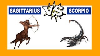 Sagittarius vs Scorpio Who Is The Strongest Zodiac Sign [upl. by Short26]