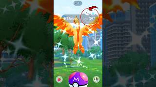 Finally got ✨ Shiny Galarian Moltres in Pokemon GO [upl. by Flavius]