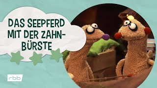 Jan und Henry Das Seepferd mit der Zahnbürste  Unser Sandmännchen [upl. by Lemahs]