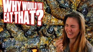 Mopane Worms aka Crunchy Caterpillars  Why Would You Eat That [upl. by Hartwell]