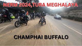 NERM 2024 CHAMPHAI BUFFALO [upl. by Eeltrebor]